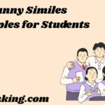Funny Similes Examples for Students
