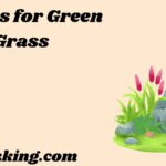 Similes for Green Grass