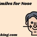 Similes for Nose