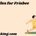 Similes for Frisbee